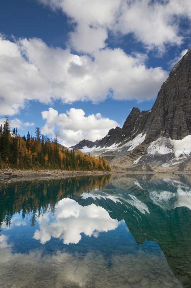 Floe Lake Reflection I art print by Alan Majcrowicz for $57.95 CAD