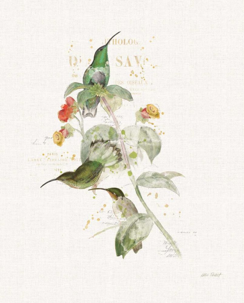 Colorful Hummingbirds III art print by Katie Pertiet for $57.95 CAD