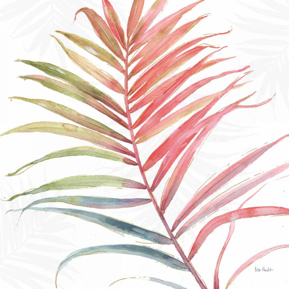 Tropical Blush VI art print by Lisa Audit for $57.95 CAD