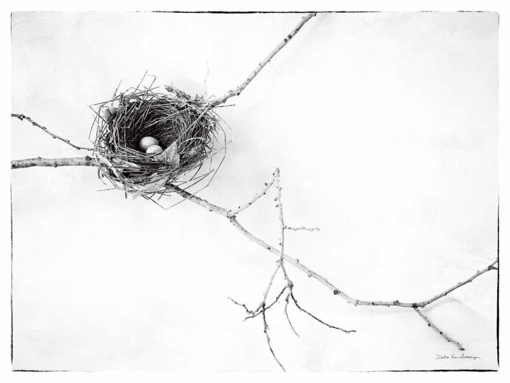 Nest and Branch I v2 art print by Debra Van Swearingen for $57.95 CAD
