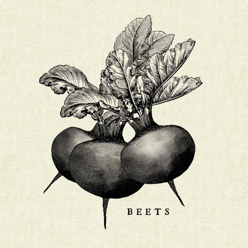 Linen Vegetable BW Sketch Beets art print by Studio Mousseau for $57.95 CAD