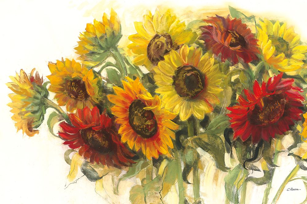 Gathering Sunflowers on White art print by Carol Rowan for $57.95 CAD