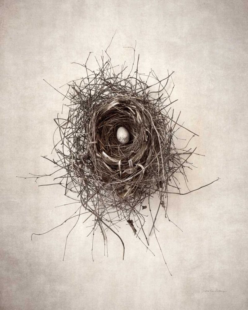 Nest I art print by Debra Van Swearingen for $57.95 CAD