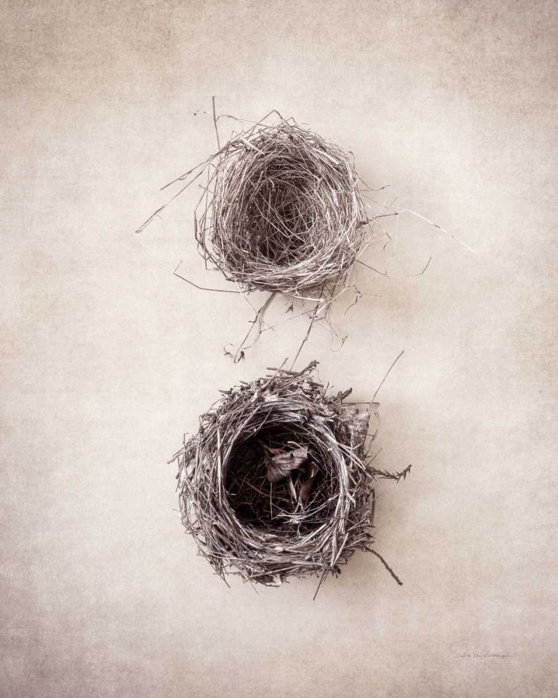 Nest IV art print by Debra Van Swearingen for $57.95 CAD