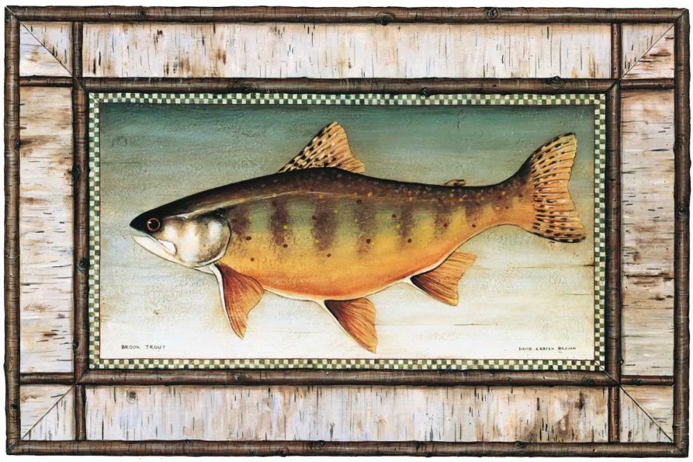Brook Trout Birch Border art print by David Carter Brown for $57.95 CAD