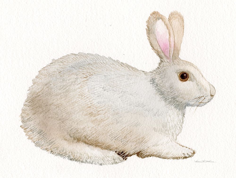 Spring Bunny IV White art print by Kathleen Parr McKenna for $57.95 CAD