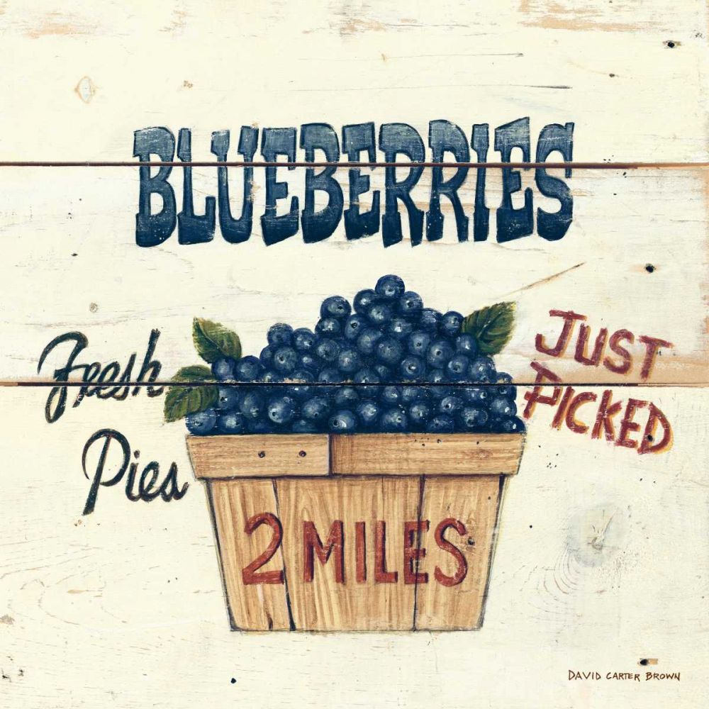 Blueberries Just Picked art print by David Carter Brown for $57.95 CAD
