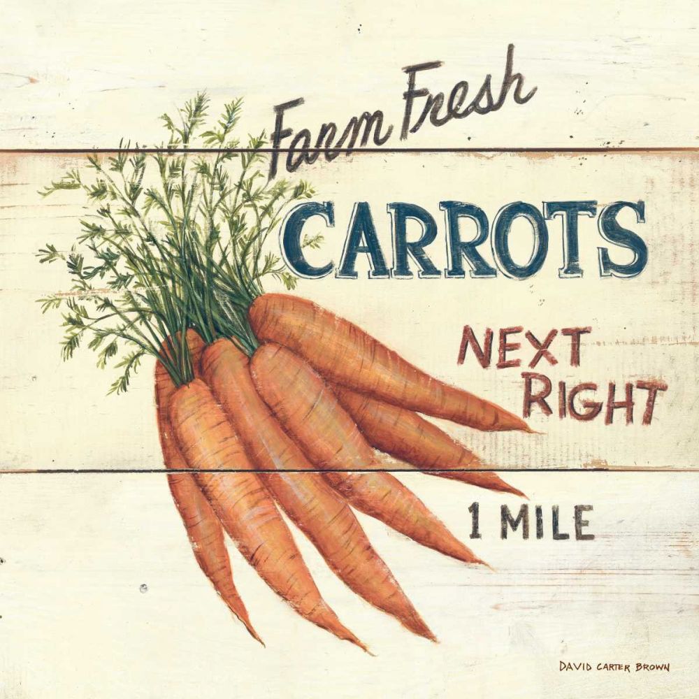 Farm Fresh Carrots art print by David Carter Brown for $57.95 CAD