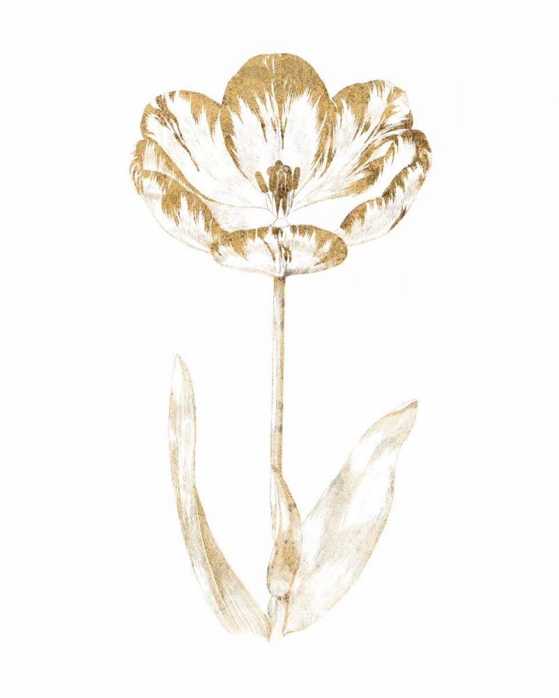 Gilded Botanical VI art print by Wild Apple Portfolio for $57.95 CAD