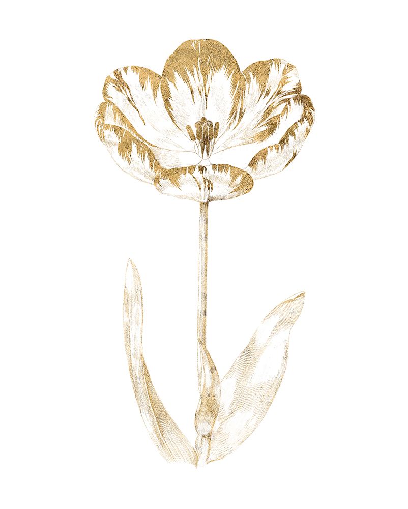 Gilded Botanical VI art print by Wild Apple Portfolio for $57.95 CAD