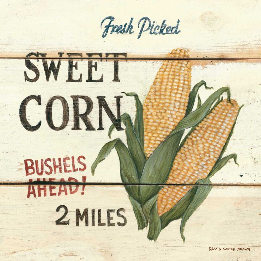 FreshPicked Sweet Corn art print by David Carter Brown for $57.95 CAD
