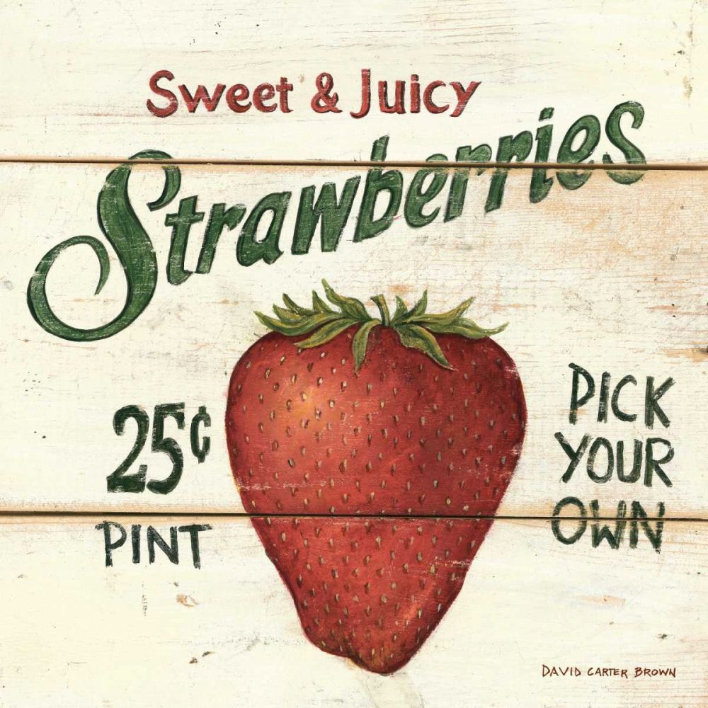Sweet and Juicy Strawberries art print by David Carter Brown for $57.95 CAD