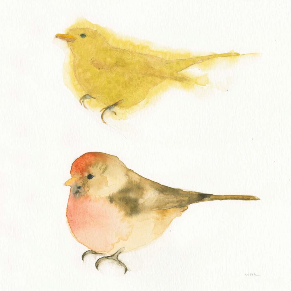 Watercolor Birds I Sq art print by Shirley Novak for $57.95 CAD