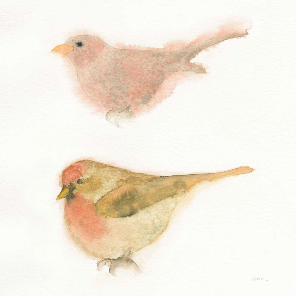 Watercolor Birds II Sq art print by Shirley Novak for $57.95 CAD