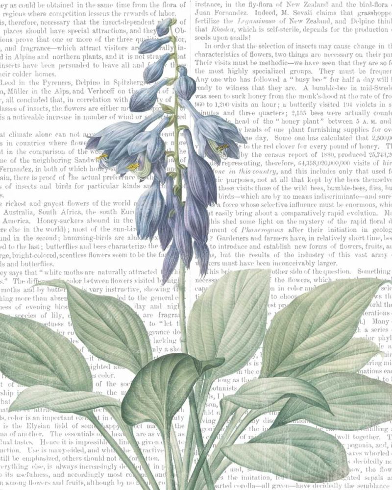 Summer Botanicals II art print by Wild Apple Portfolio for $57.95 CAD