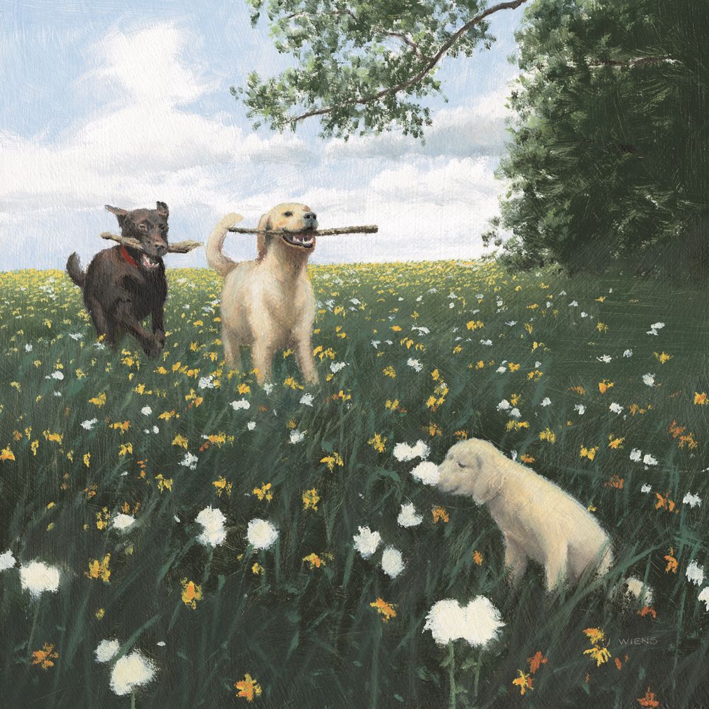 Playful art print by James Wiens for $57.95 CAD