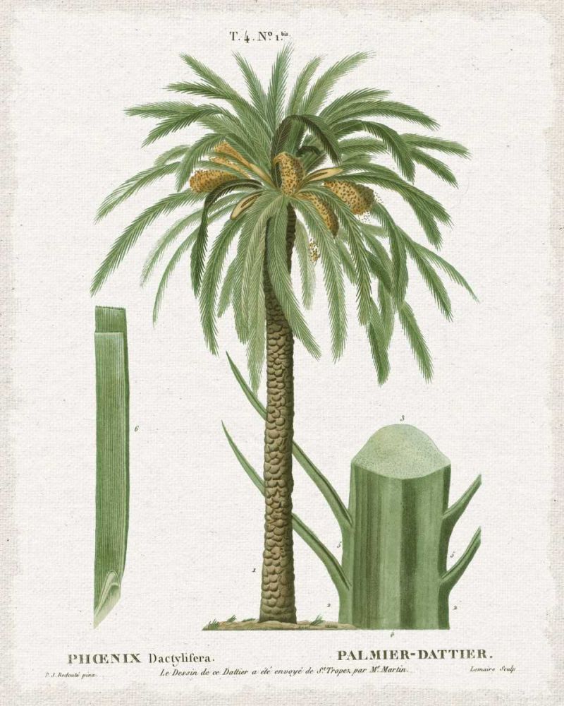 Island Botanicals II art print by Wild Apple Portfolio for $57.95 CAD