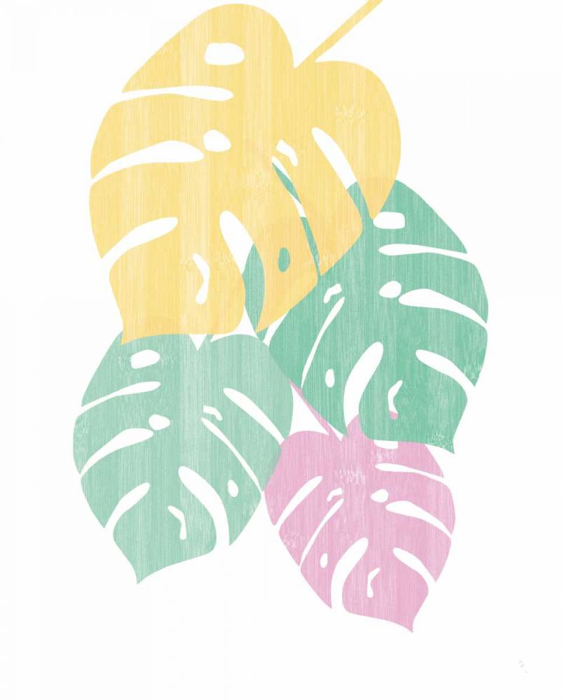 Monstera III Bright on White art print by Sarah Adams for $57.95 CAD