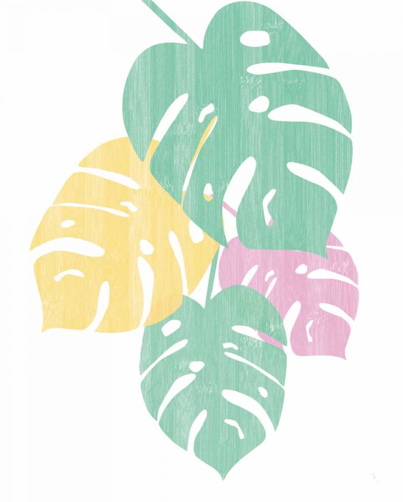Monstera IV Bright on White art print by Sarah Adams for $57.95 CAD