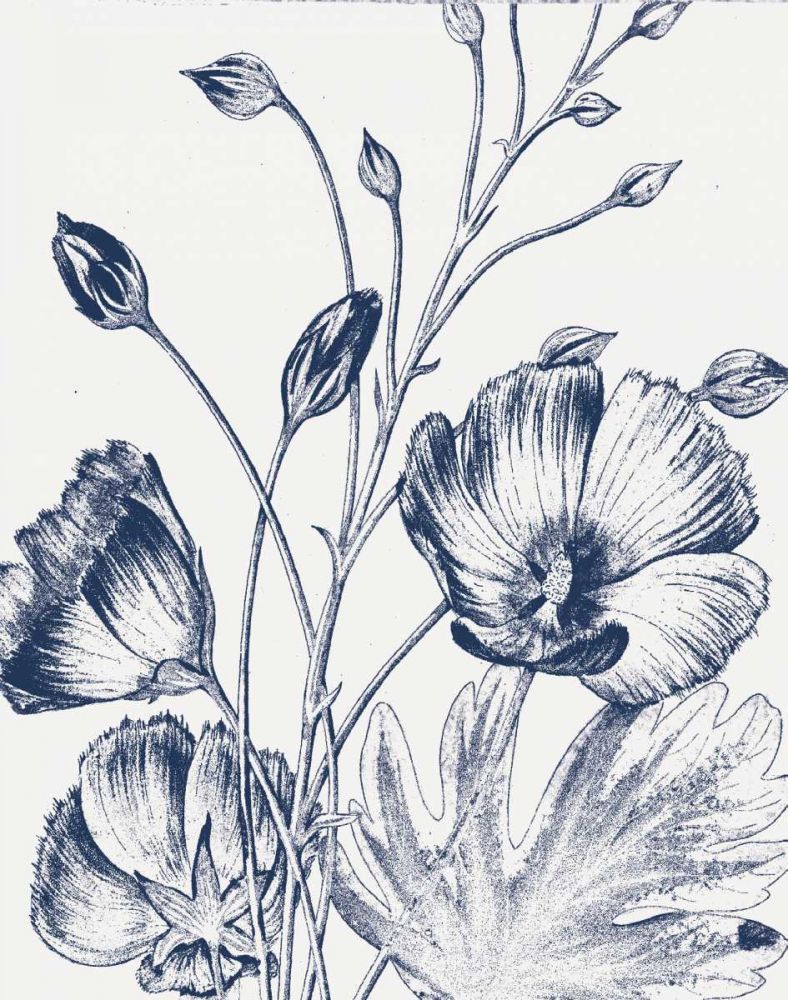 Botanical Beauty Chalk IX Blue on White Crop art print by Wild Apple Portfolio for $57.95 CAD