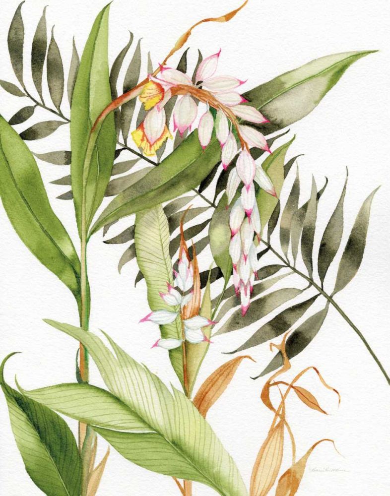 Botanical Shell Ginger Crop art print by Kathleen Parr McKenna for $57.95 CAD