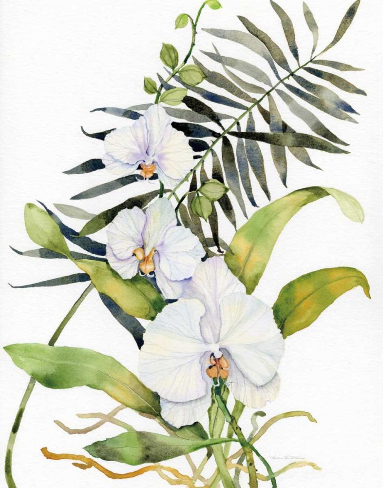 Botanical Phalaenopsis Crop art print by Kathleen Parr McKenna for $57.95 CAD