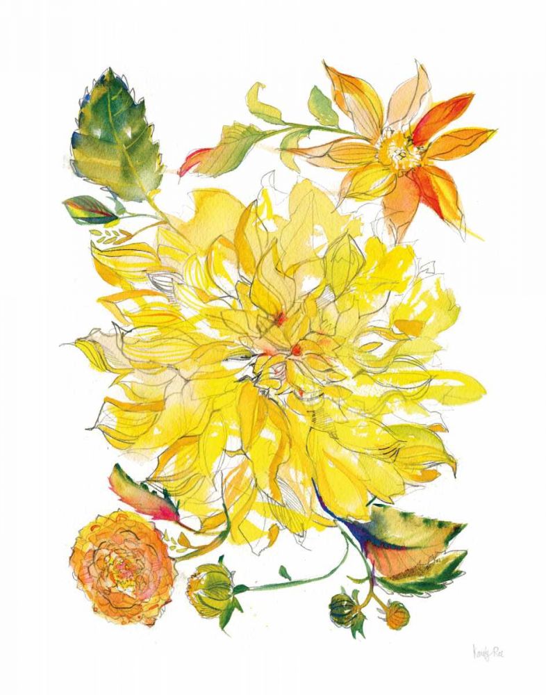 Dahlia Delight of the Day III art print by Kristy Rice for $57.95 CAD