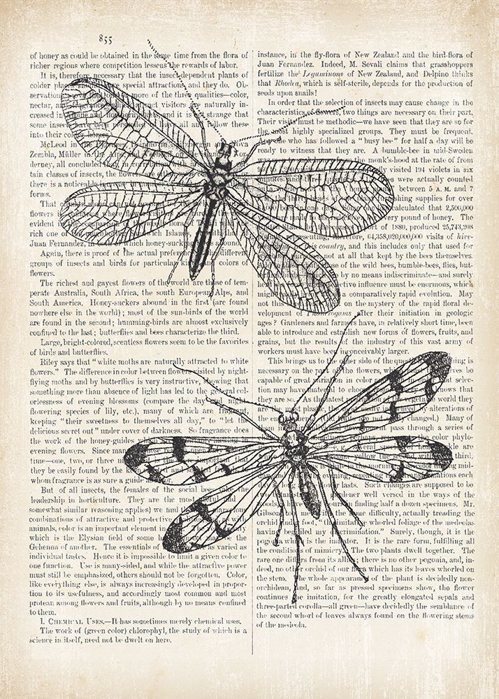 Vintage Dragonflies on Newsprint art print by Wild Apple Portfolio for $57.95 CAD