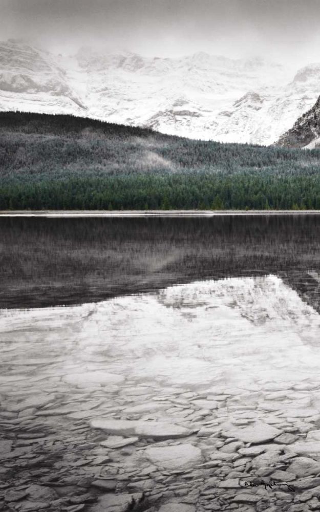 Waterfowl Lake Panel I BW with Color art print by Lisa Audit for $57.95 CAD