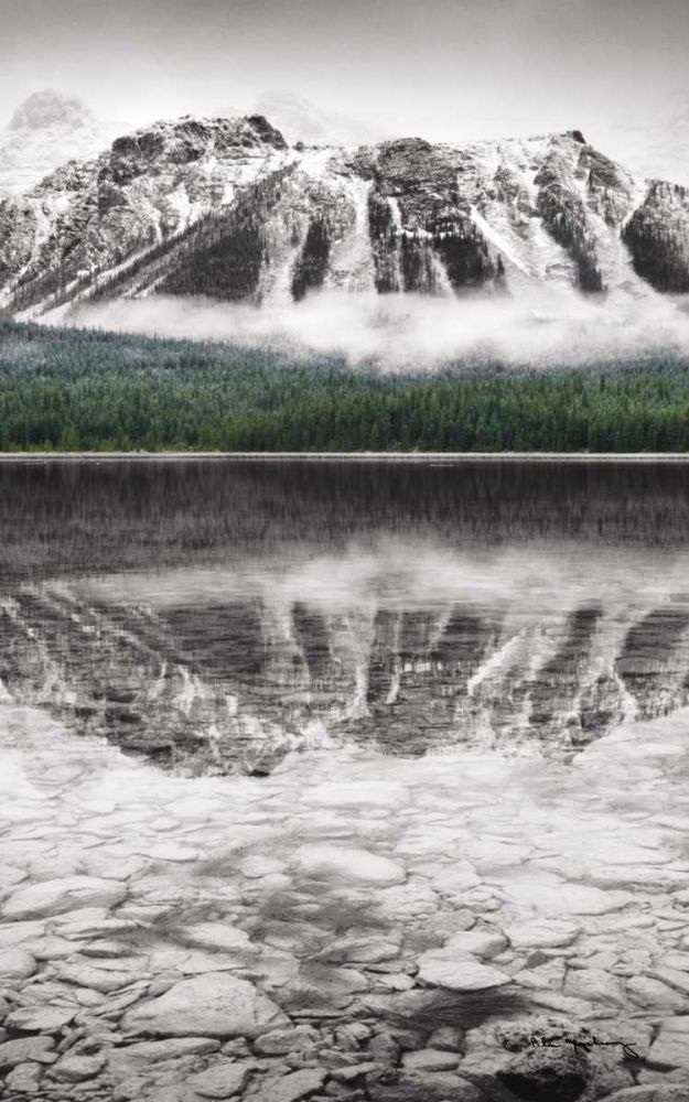 Waterfowl Lake Panel II BW with Color art print by Lisa Audit for $57.95 CAD