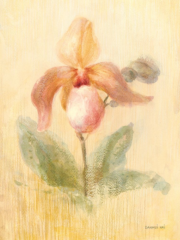 November Orchid art print by Danhui Nai for $57.95 CAD