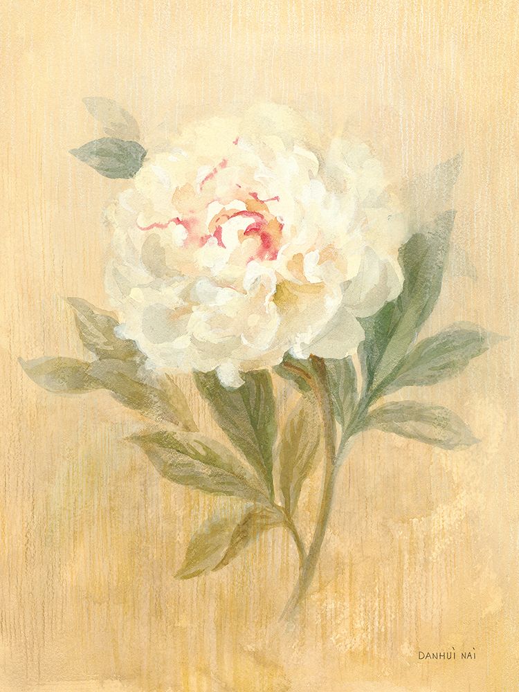 May Peony art print by Danhui Nai for $57.95 CAD