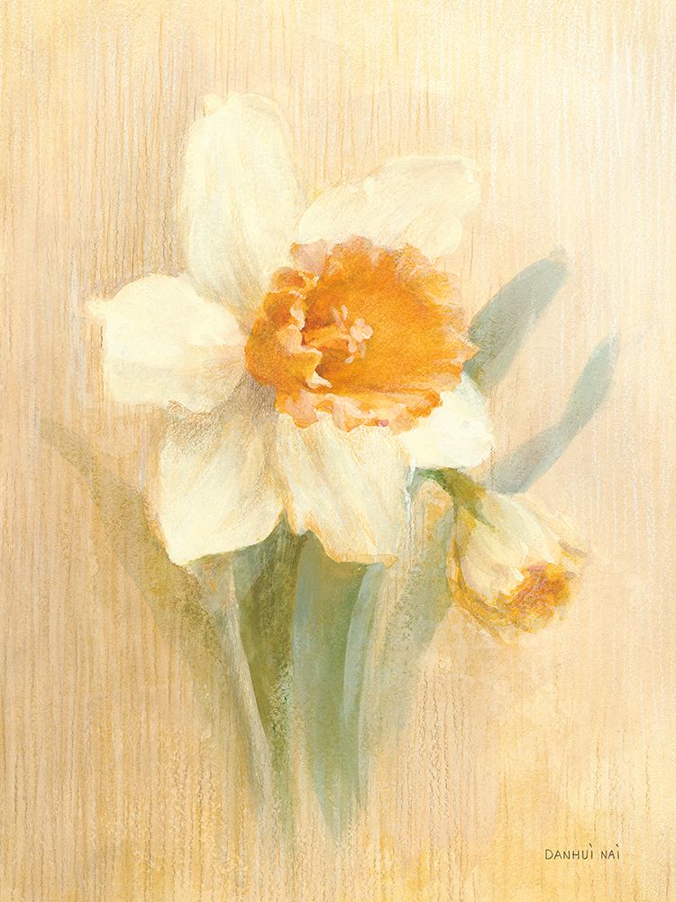March Trumpet Daffodil art print by Danhui Nai for $57.95 CAD