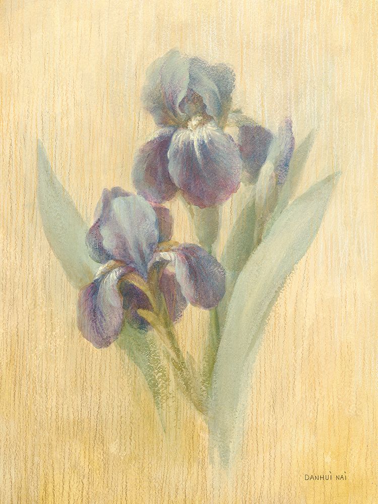 June Iris art print by Danhui Nai for $57.95 CAD