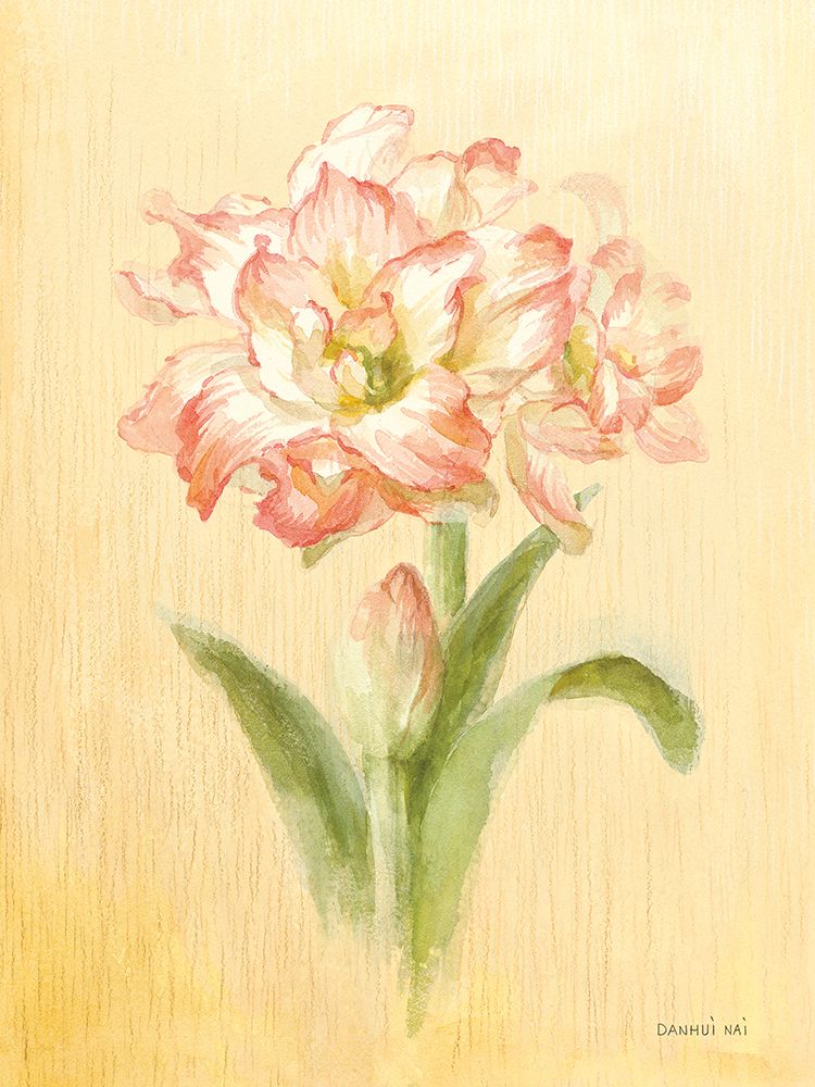 December Amaryllis art print by Danhui Nai for $57.95 CAD