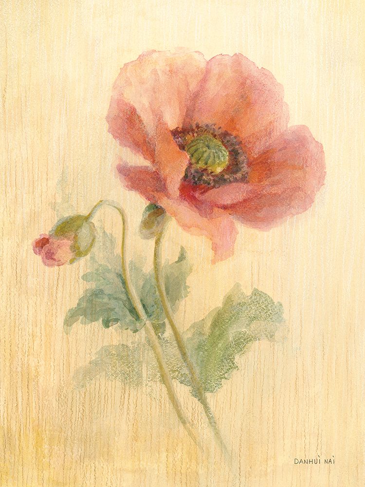 August Poppy art print by Danhui Nai for $57.95 CAD