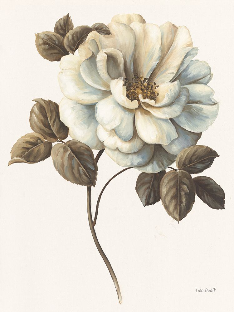 Floral Bliss Rose I art print by Lisa Audit for $57.95 CAD