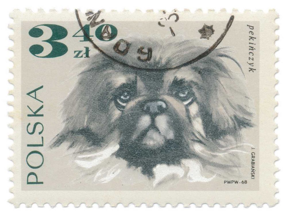 Poland Stamp III on White art print by Wild Apple Portfolio for $57.95 CAD