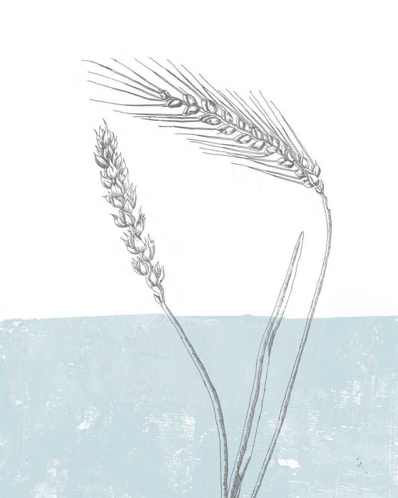 Wheat art print by Sarah Adams for $57.95 CAD