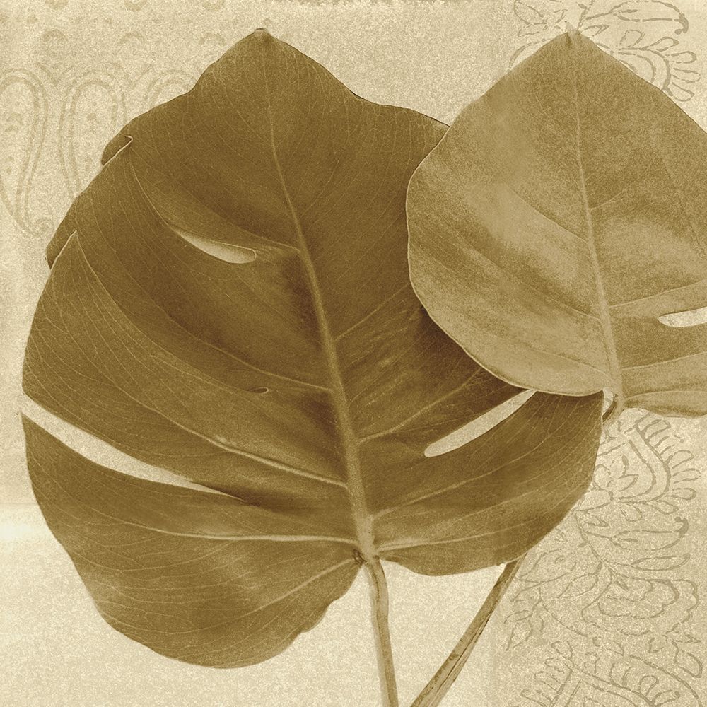 Ornate Monstera Leaf II art print by Wild Apple Portfolio for $57.95 CAD