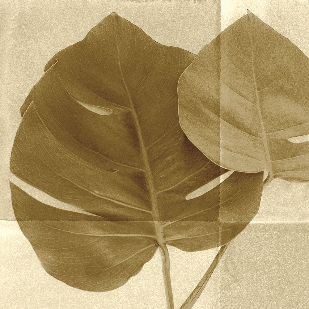 Monstera Leaf II art print by Wild Apple Portfolio for $57.95 CAD
