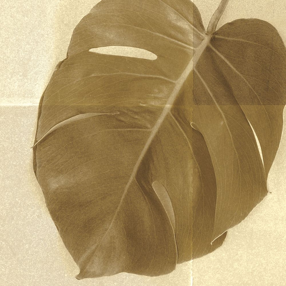 Monstera Leaf I art print by Wild Apple Portfolio for $57.95 CAD