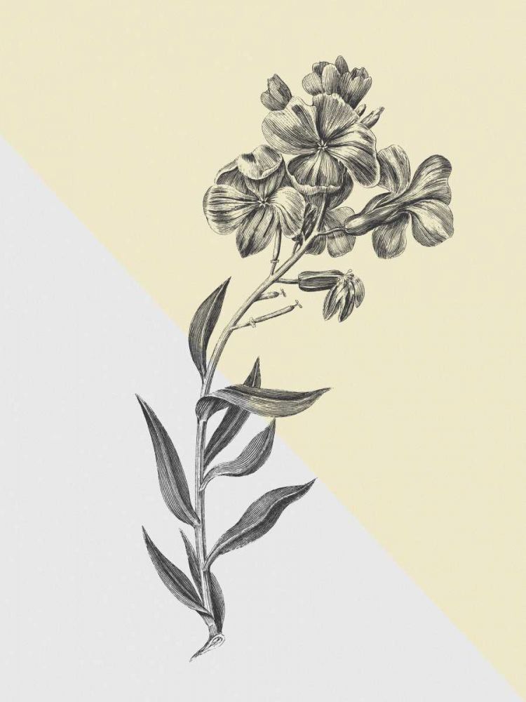 Conversations on Botany VI Color Block art print by Wild Apple Portfolio for $57.95 CAD