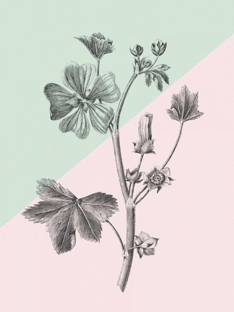 Conversations on Botany VII Color Block art print by Wild Apple Portfolio for $57.95 CAD
