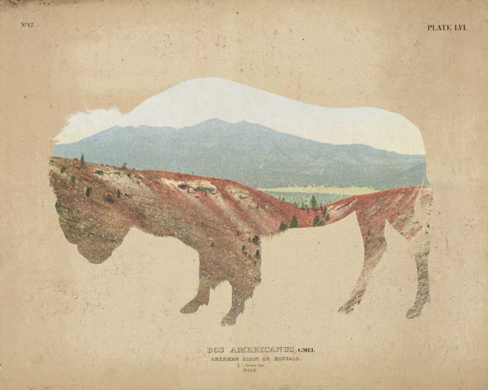 American Southwest Buffalo Distressed art print by Wild Apple Portfolio for $57.95 CAD