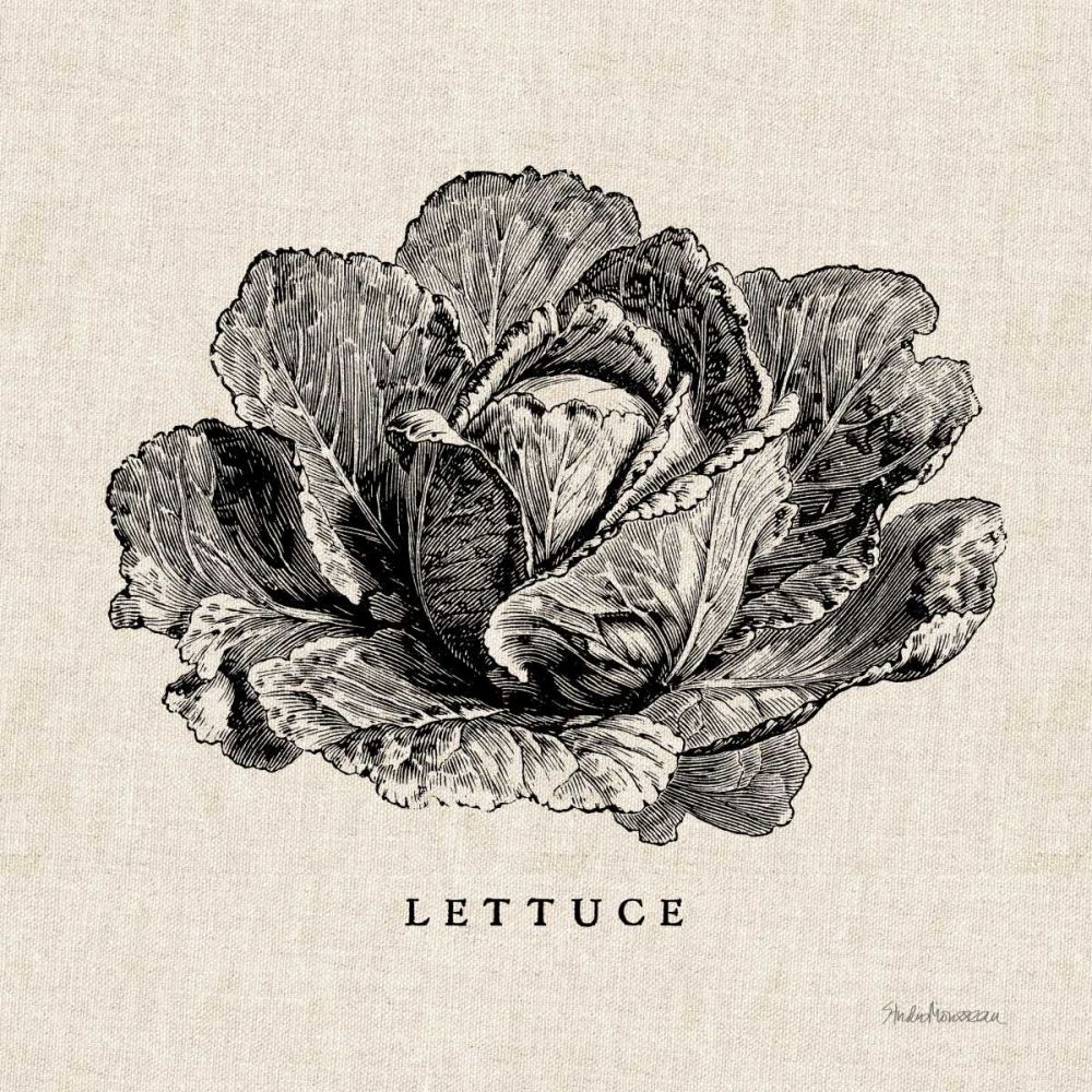 Burlap Vegetable BW Sketch Lettuce art print by Studio Mousseau for $57.95 CAD
