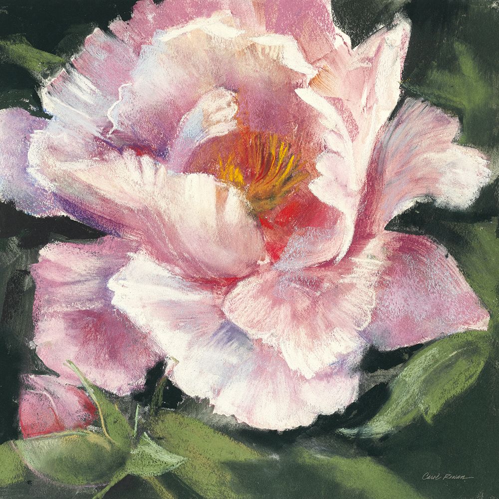 Peony II art print by Carol Rowan for $57.95 CAD