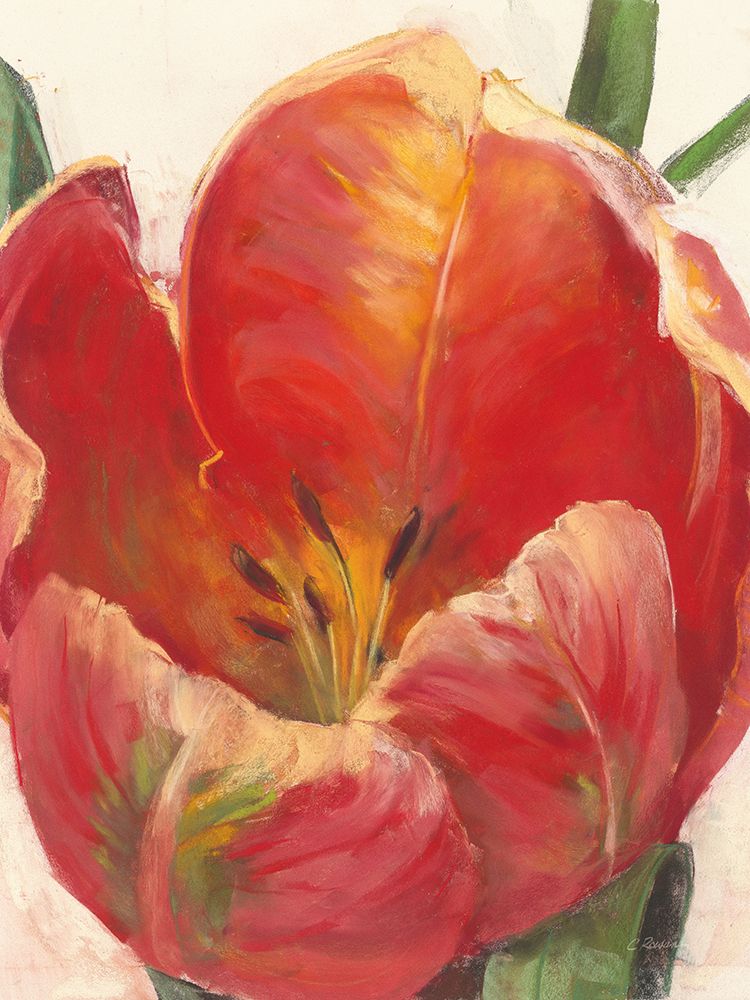 Parrot Tulip art print by Carol Rowan for $57.95 CAD