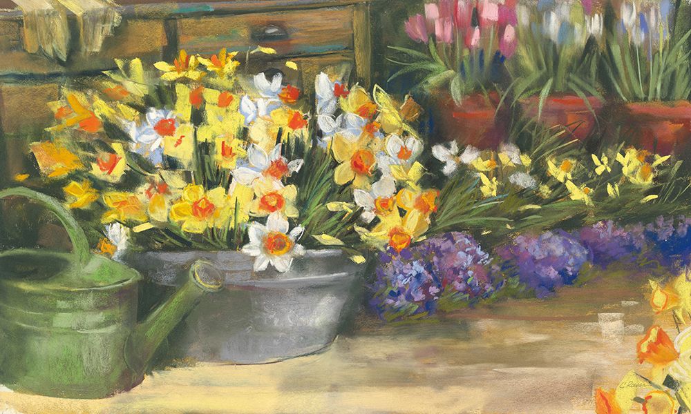 Spring Daffodils art print by Carol Rowan for $57.95 CAD