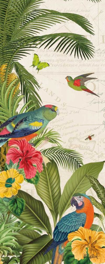 Parrot Paradise VI art print by Katie Pertiet for $57.95 CAD